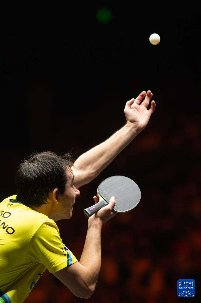 潘展乐在游 潘展乐在游